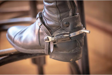 Produktbild von Sporenriemen Pénélope