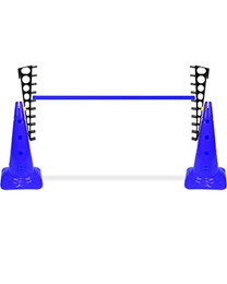 Produktbild von SPORTIKEL24 Kombi Leiterhürde 50 mit Stange 100 cm