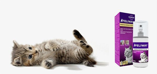 Produktbild von Spray für Katzen FELIWAY F3