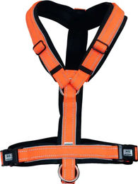 Sprenger Fohlengeschirr – Bild 1 von 3