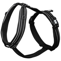 Sprenger Fohlengeschirr – Bild 1 von 3