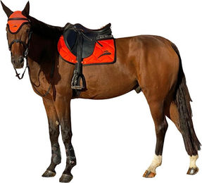 Produktbild von Springschabracke eQuick