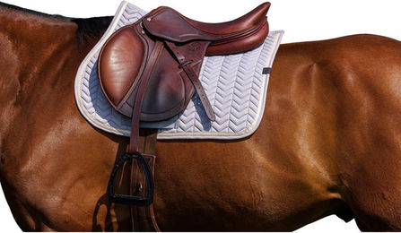 Produktbild von Springschabracke Equithème Softypop