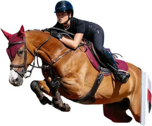 Produktbild von Springschabracke LeMieux Close Contact