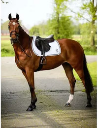 Produktbild von Springschabracke PS of Sweden Elite