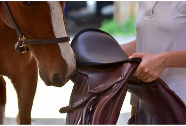 Produktbild von Springschabracke ThinLine