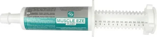 Produktbild von Spritze Erholung für Pferd LPC Muscle Eze Flash
