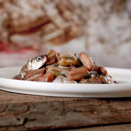 Produktbild von Sprotten für Hunde - 500 g