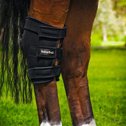 Produktbild von Sprunggelenk rechts öffnen Back on Track