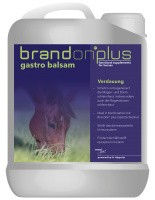 Produktbild von St. Hippolyt Brandon Plus GastroBalsam - 2,5 l
