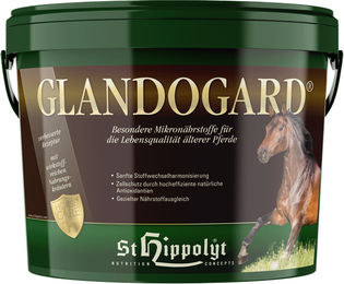 St. Hippolyt Glandogard - 3,75 kg – Bild 1 von 3