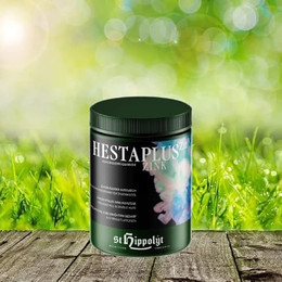 Produktbild von St. Hippolyt Hesta plus Zink - 1 kg