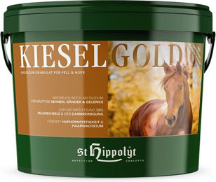 St. Hippolyt Kieselgold - 4 kg – Bild 1 von 2