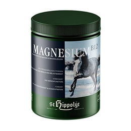 St. Hippolyt Magnesium B12 - 1 kg – Bild 1 von 2
