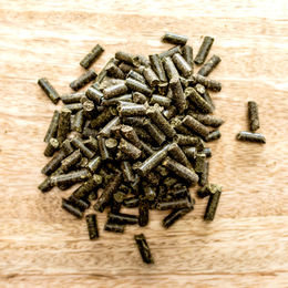 St. Hippolyt Mucolyt Atemwegskur - 5 kg – Bild 1 von 3