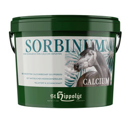 Produktbild von St. Hippolyt Sorbinum Calcium