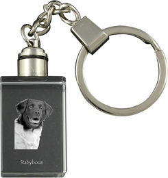 Produktbild von Stabyhoun, Stabijhoun, Fryske Stabij - Crystal key ring with dog photo, illuminated key ring, unique gift by Art-Dog brand transparent
