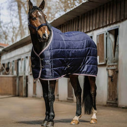 Produktbild von Stalldecke für Pferde Equithème Aztec 50g