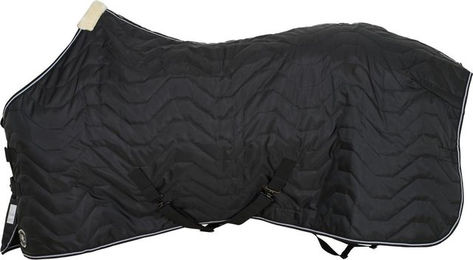 Produktbild von Stalldecke für Pferde HorseGuard Leon 100g