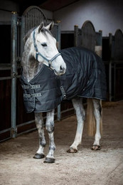 Produktbild von Stalldecke für Pferde HorseGuard Sophie 600D 300g