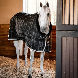 Produktbild von Stalldecke für Pferde Horseware Rhino 350g