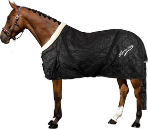 Produktbild von Stalldecke für Pferde Imperial Riding Super-dry 250 g