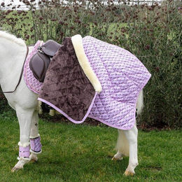 Produktbild von Stalldecke für Pferde Kentucky Sammy 160 g