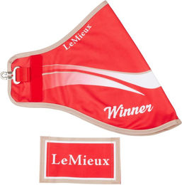 Stalldecke für Pferde LeMieux Hobby Horse – Bild 1 von 2