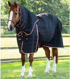 Produktbild von Stalldecke für Pferde mit Halswärmer Premier Equine Lucanta 200g