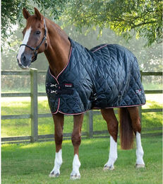 Produktbild von Stalldecke für Pferde Premier Equine 100g