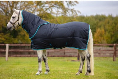 Produktbild von Stalldecke für Ponys Horseware Amigo Insulator Plus 550 g