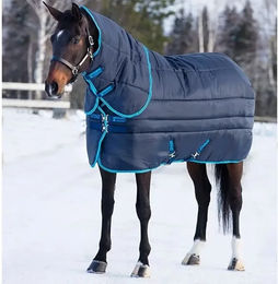 Produktbild von Stalldecke Horseware Amigo Insulator Plus 550 g - 550 g