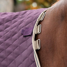 Stalldecke Horseware Amigo Plus 200 g - 200 g – Bild 1 von 9