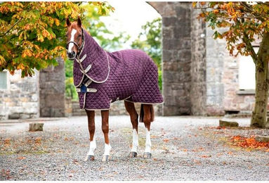 Produktbild von Stalldecke Horseware Amigo Plus 200 g - 200 g