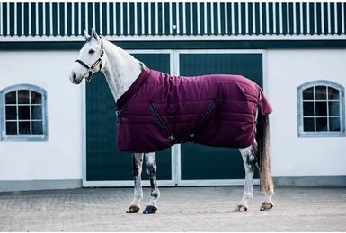 Produktbild von Stalldecke Horseware Rambo Cosy 100 g