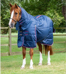 Stalldecke mit Halsteil Premier Equine 200 g – Bild 1 von 4