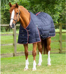 Stalldecke Premier Equine Garissa 200 g – Bild 1 von 4