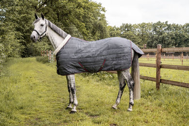 Produktbild von Stalldecke RS