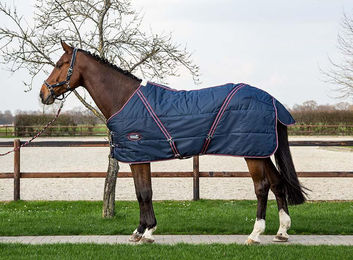 Produktbild von Stalldecke RS Premium