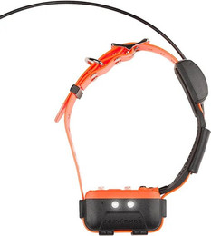 Produktbild von Standortkette Num'axes Canicom GPS 2