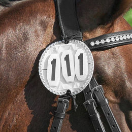 Produktbild von Startnummer 3-stellig mit Glitzersteinen