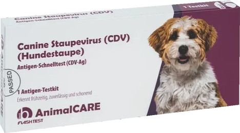 Produktbild von Staupevirus Schnelltest für Hunde