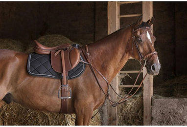 Produktbild von Steigbügelriemen Eric Thomas