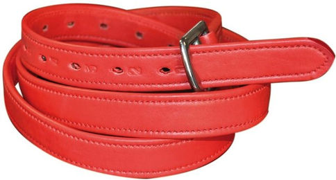 Produktbild von Steigbügelriemen Nylon mit Lederüberzug Flags&Cup