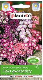 Produktbild von Sternenphlox-Samenmischung - 0,5 g