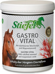 Produktbild von Stiefel Gastro Vital Pulver für Pferde - 1 kg