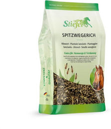 Stiefel Spitzwegerich - 500 g – Bild 1 von 4