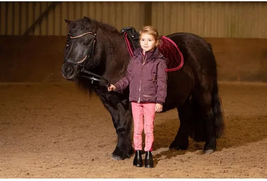 Produktbild von Stirnband für Pferd Harry's Horse Diamond