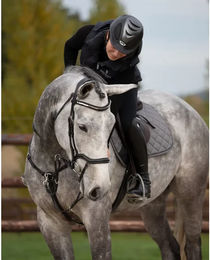 Produktbild von Stirnband für Pferd HFI Padded Wave + Strass