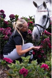 Produktbild von Stirnband für Pferd HFI Straight + Strass